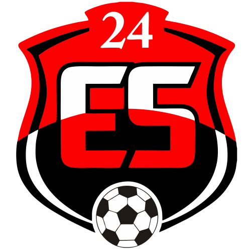 24 Erzincanspor Logosu