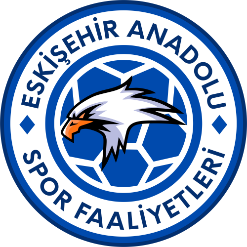 Eskişehir Anadolu Logosu